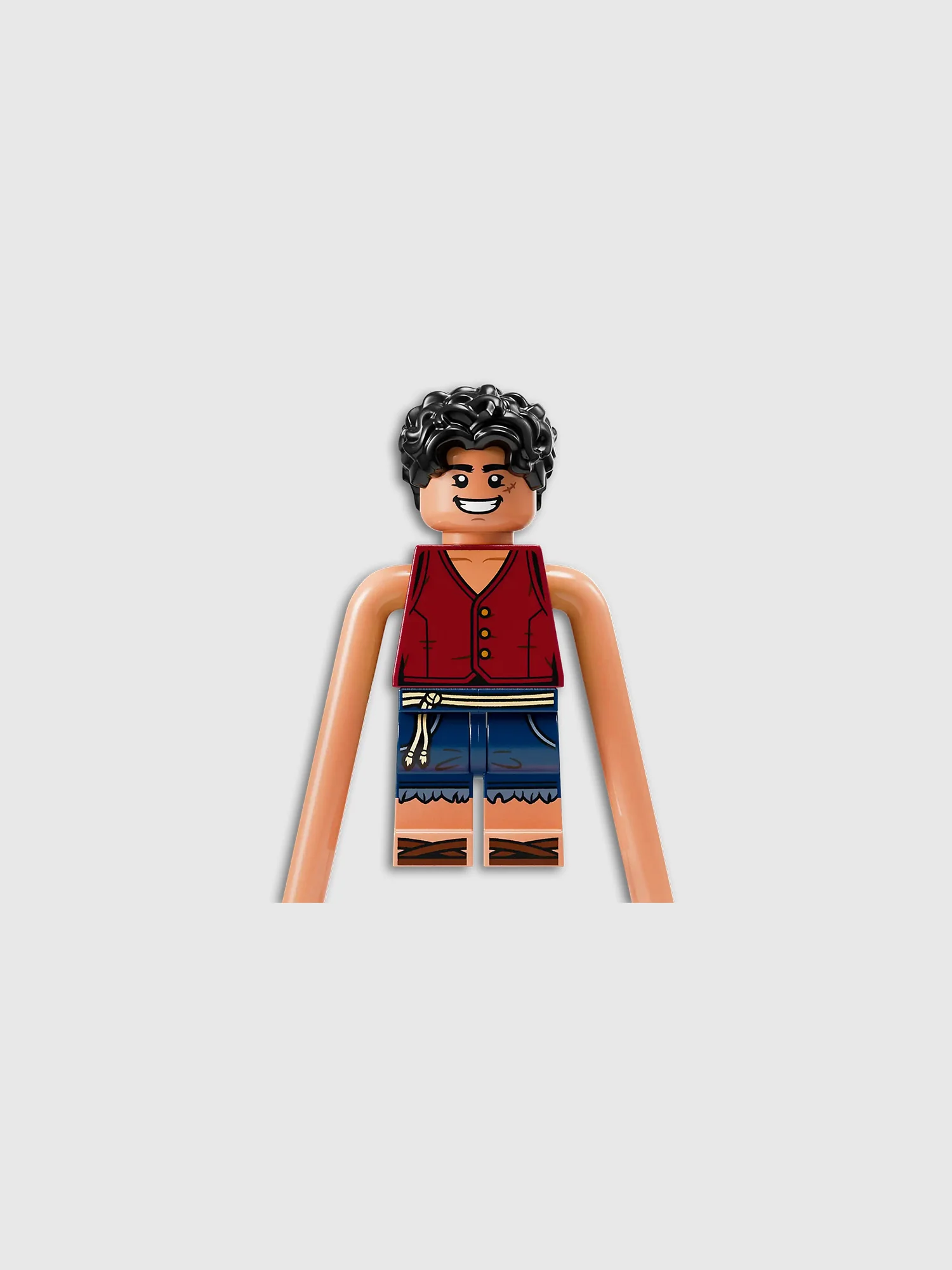 One Piece Lego Arlong Park - Image 9