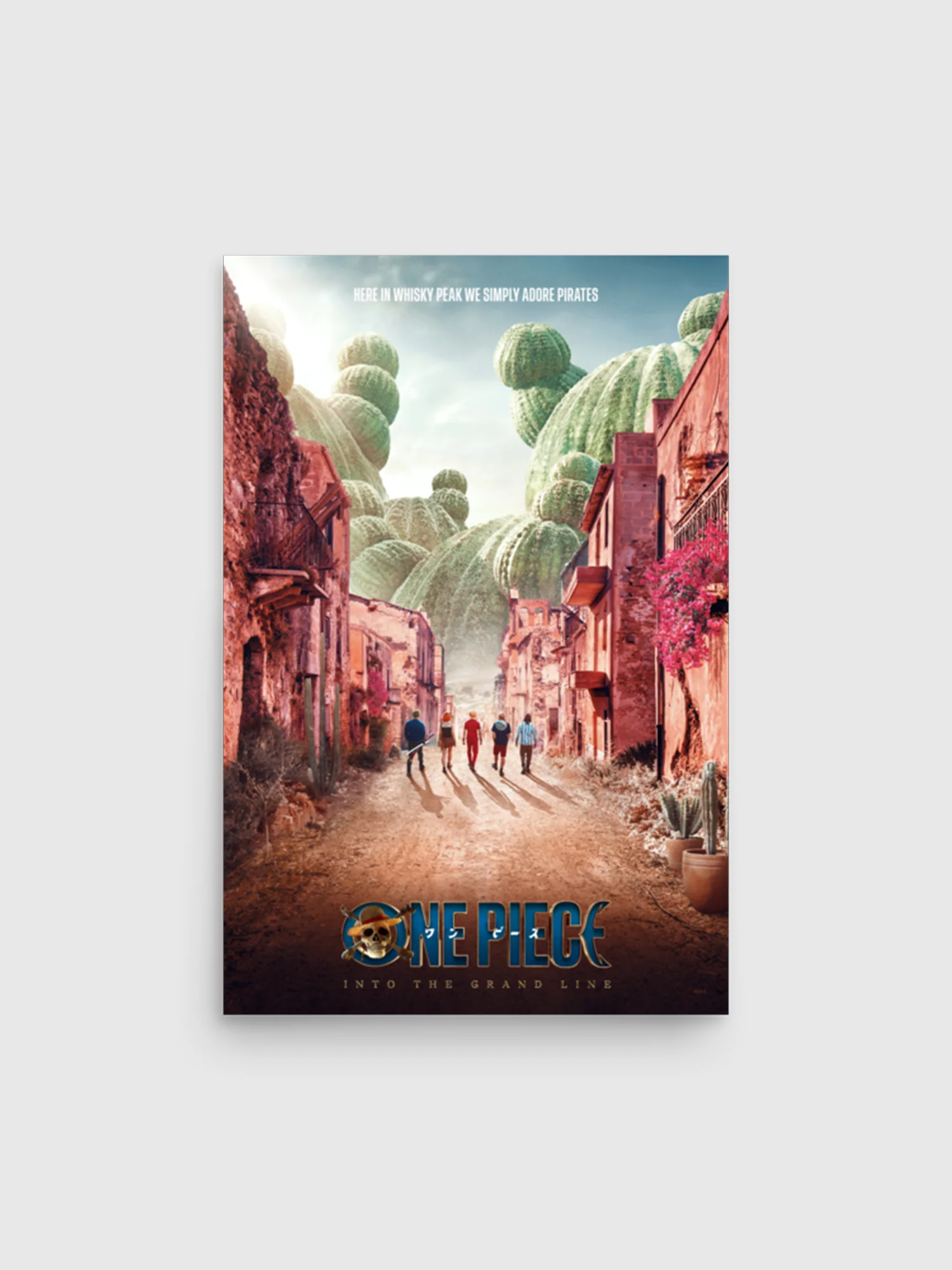 One Piece Poster Adore Pirates